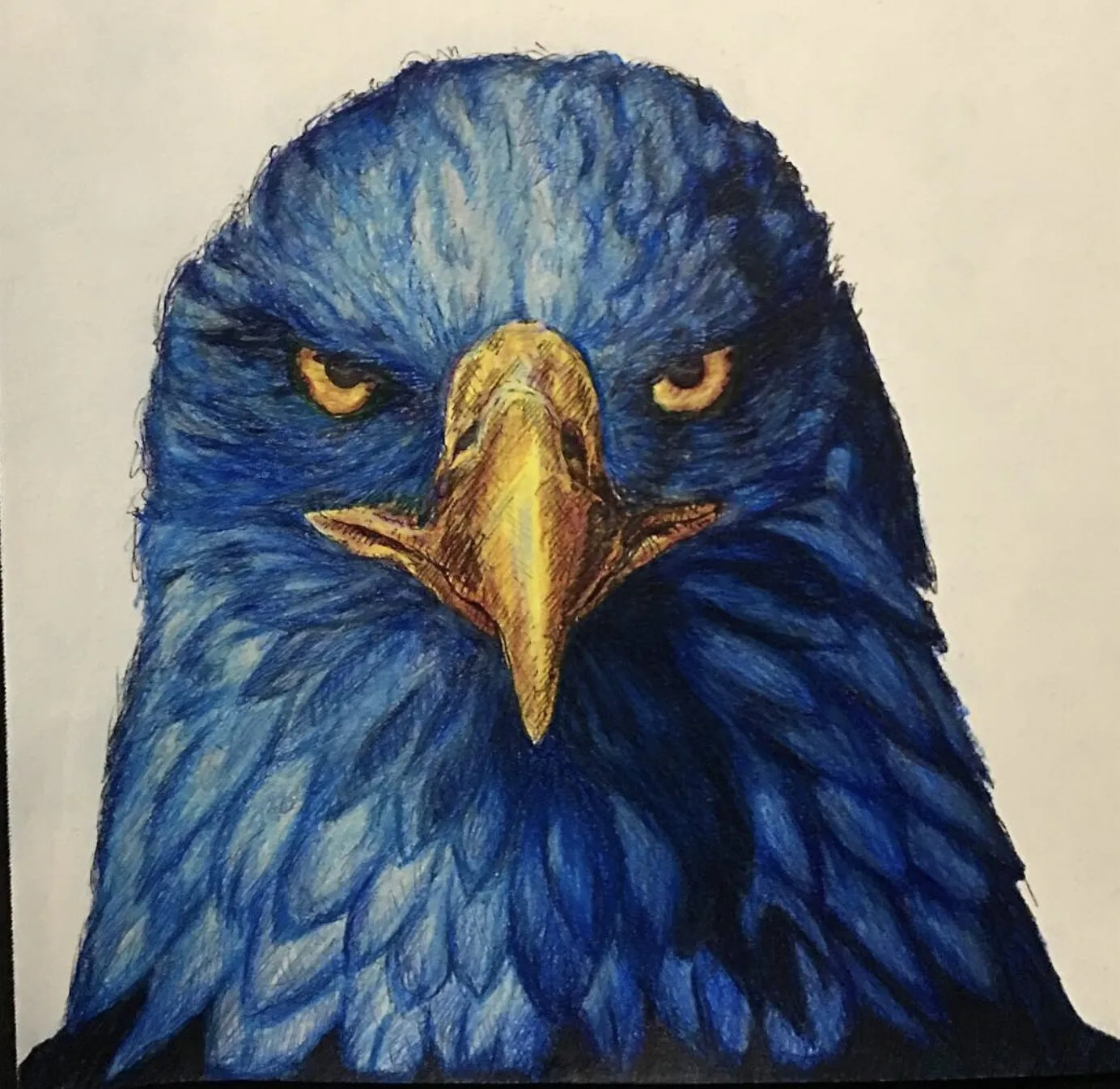 A blue eagle's head